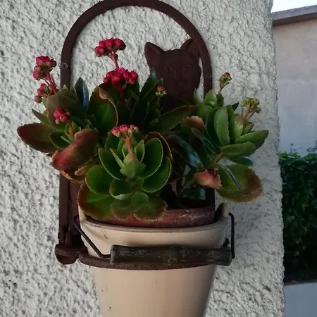 Apartamento Casa Molara