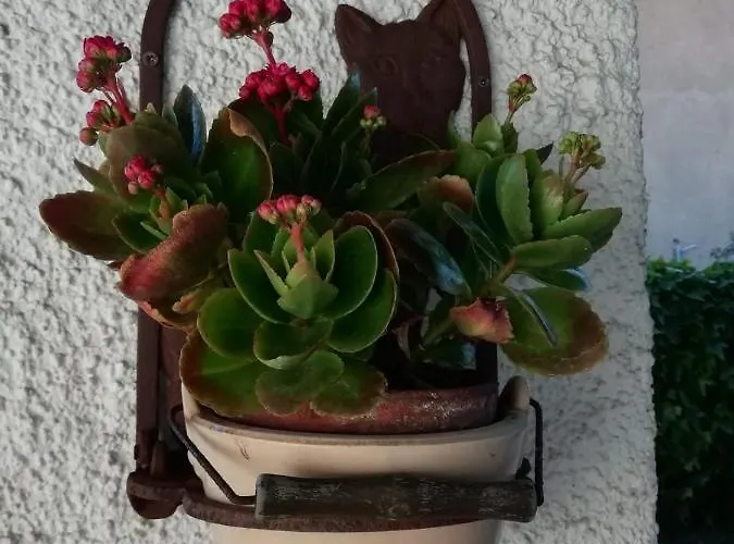 Apartamento Casa Molara